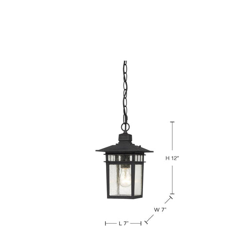 Hanging Lantern Nuvo 60-4956 Cove Neck - 1 Light - 12 in. - Outdoor Hang with Clear Seed Glass - Textured Black Finish Nuvo
