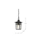 Hanging Lantern Nuvo 60-4956 Cove Neck - 1 Light - 12 in. - Outdoor Hang with Clear Seed Glass - Textured Black Finish Nuvo