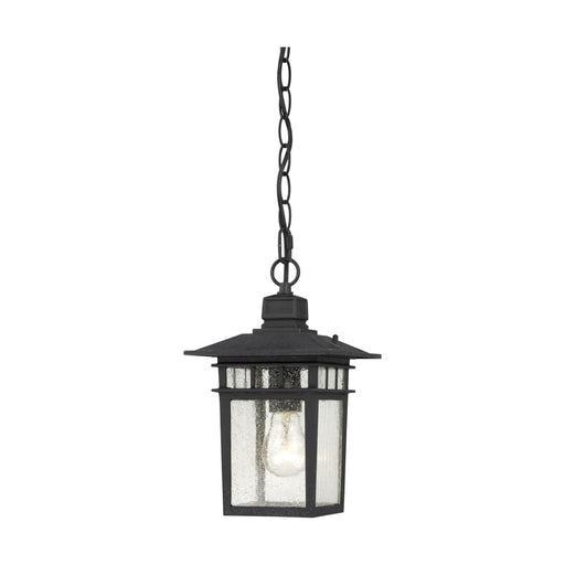 Hanging Lantern Nuvo 60-4956 Cove Neck - 1 Light - 12 in. - Outdoor Hang with Clear Seed Glass - Textured Black Finish Nuvo