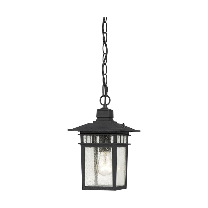 Hanging Lantern Nuvo 60-4956 Cove Neck - 1 Light - 12 in. - Outdoor Hang with Clear Seed Glass - Textured Black Finish Nuvo