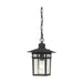 Hanging Lantern Nuvo 60-4956 Cove Neck - 1 Light - 12 in. - Outdoor Hang with Clear Seed Glass - Textured Black Finish Nuvo