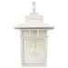 Wall Lantern Nuvo 60-4957 Cove Neck - 1 Light - 14 in. - Outdoor Lantern with Clear Seed Glass - White Finish Nuvo
