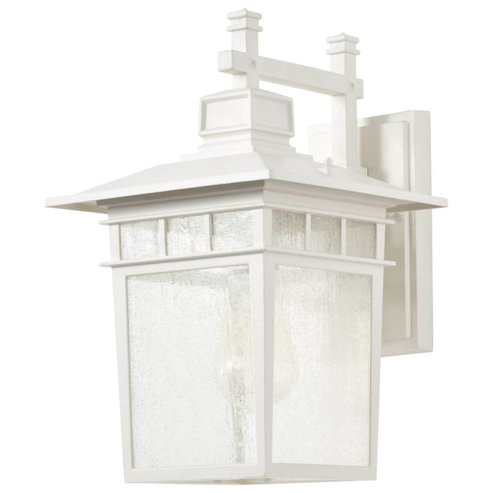 Wall Lantern Nuvo 60-4957 Cove Neck - 1 Light - 14 in. - Outdoor Lantern with Clear Seed Glass - White Finish Nuvo
