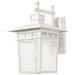 Wall Lantern Nuvo 60-4957 Cove Neck - 1 Light - 14 in. - Outdoor Lantern with Clear Seed Glass - White Finish Nuvo