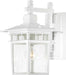 Wall Lantern Nuvo 60-4957 Cove Neck - 1 Light - 14 in. - Outdoor Lantern with Clear Seed Glass - White Finish Nuvo