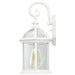 Wall Lantern Nuvo 60-4961 Boxwood - 1 Light - 15 in. - Outdoor Wall with Clear Seed Glass - White Finish Nuvo