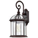 Wall Lantern Nuvo 60-4965 Boxwood - 1 Light - 19 in. - Outdoor Wall with Clear Beveled Glass - Rustic Bronze Finish Nuvo