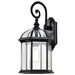 Wall Lantern Nuvo 60-4966 Boxwood - 1 Light - 19 in. - Outdoor Wall with Clear Beveled Glass - Textured Black Finish Nuvo