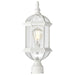 Post Lantern Nuvo 60-4974 Boxwood - 1 Light - 19 in. - Outdoor Post with Clear Beveled Glass - White Finish Nuvo