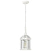 Hanging Lantern Nuvo 60-4977 Boxwood - 1 Light - 14 in. - Outdoor Hanging with Clear Beveled Glass - White Finish Nuvo