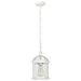 Hanging Lantern Nuvo 60-4977 Boxwood - 1 Light - 14 in. - Outdoor Hanging with Clear Beveled Glass - White Finish Nuvo
