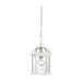 Hanging Lantern Nuvo 60-4977 Boxwood - 1 Light - 14 in. - Outdoor Hanging with Clear Beveled Glass - White Finish Nuvo