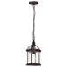 Hanging Lantern Nuvo 60-4978 Boxwood - 1 Light - 14 in. - Outdoor Hanging with Clear Beveled Glass - Rustic Bronze Finish Nuvo