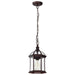 Hanging Lantern Nuvo 60-4978 Boxwood - 1 Light - 14 in. - Outdoor Hanging with Clear Beveled Glass - Rustic Bronze Finish Nuvo