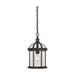 Hanging Lantern Nuvo 60-4978 Boxwood - 1 Light - 14 in. - Outdoor Hanging with Clear Beveled Glass - Rustic Bronze Finish Nuvo