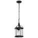 Hanging Lantern Nuvo 60-4979 Boxwood - 1 Light - 14 in. - Outdoor Hanging with Clear Beveled Glass - Textured Black Finish Nuvo
