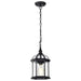 Hanging Lantern Nuvo 60-4979 Boxwood - 1 Light - 14 in. - Outdoor Hanging with Clear Beveled Glass - Textured Black Finish Nuvo