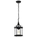 Hanging Lantern Nuvo 60-4979 Boxwood - 1 Light - 14 in. - Outdoor Hanging with Clear Beveled Glass - Textured Black Finish Nuvo