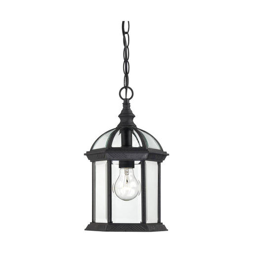 Hanging Lantern Nuvo 60-4979 Boxwood - 1 Light - 14 in. - Outdoor Hanging with Clear Beveled Glass - Textured Black Finish Nuvo