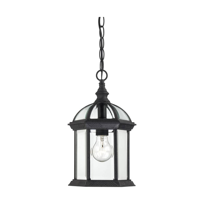 Hanging Lantern Nuvo 60-4979 Boxwood - 1 Light - 14 in. - Outdoor Hanging with Clear Beveled Glass - Textured Black Finish Nuvo