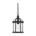 Hanging Lantern Nuvo 60-4979 Boxwood - 1 Light - 14 in. - Outdoor Hanging with Clear Beveled Glass - Textured Black Finish Nuvo