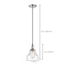 Pendant Nuvo 60-5403 Vintage - 1 Light - Pendant with Clear Glass - Vintage Lamp Included - Polished Nickel Finish Nuvo