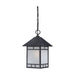 Hanging Lantern Nuvo 60-5604 Drexel - 1 Light - Outdoor Hanging Fixture with Frosted Seed Glass - Stone Black Finish Nuvo