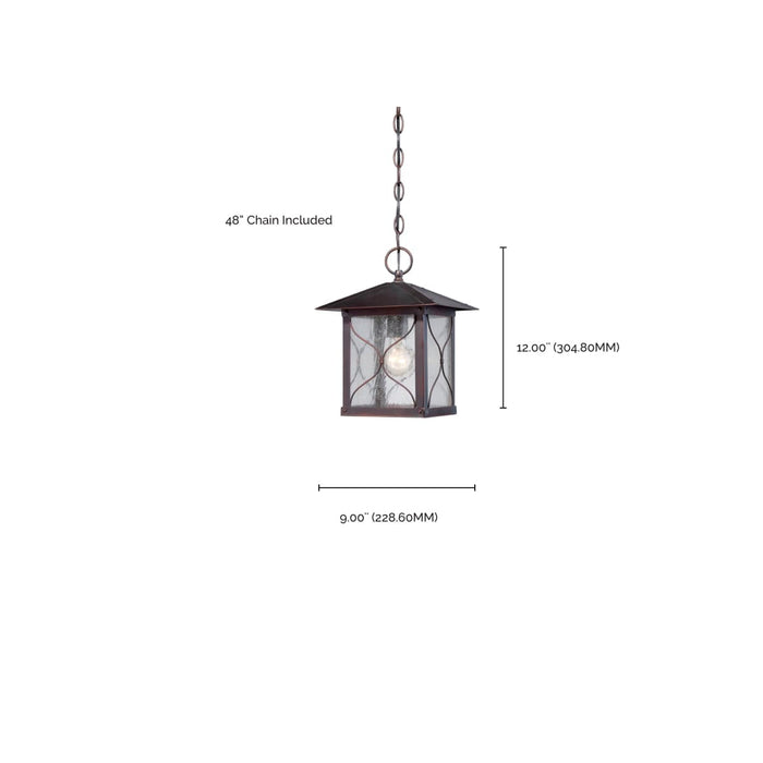 Hanging Lantern Nuvo 60-5614 Vega - 1 Light - Outdoor Hanging Fixture with Clear Seed Glass - Classic Bronze Finish Nuvo