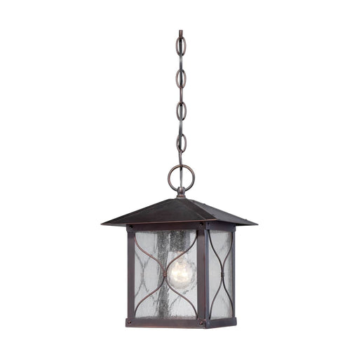 Hanging Lantern Nuvo 60-5614 Vega - 1 Light - Outdoor Hanging Fixture with Clear Seed Glass - Classic Bronze Finish Nuvo