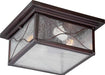 Flush Mount Nuvo 60-5616 Vega - 2 Light - Outdoor Flush Fixture with Clear Seed Glass - Classic Bronze Finish Nuvo