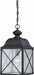 Hanging Lantern Nuvo 60-5624 Wingate - 1 Light - Outdoor Hanging Fixture with Clear Seed Glass - Textured Black Finish Nuvo