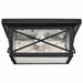 Flush Mount Nuvo 60-5626 Wingate - 2 Light - Outdoor Flush Fixture with Clear Seed Glass - Textured Black Finish Nuvo