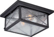 Flush Mount Nuvo 60-5626 Wingate - 2 Light - Outdoor Flush Fixture with Clear Seed Glass - Textured Black Finish Nuvo