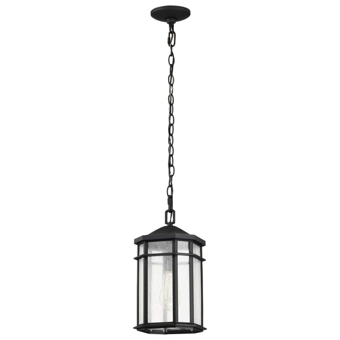 Hanging Lantern Nuvo 60-5759 Raiden Collection Outdoor 14.5 inch Hanging Light - Matte Black Finish with Clear Seedy Glass Nuvo