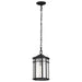 Hanging Lantern Nuvo 60-5759 Raiden Collection Outdoor 14.5 inch Hanging Light - Matte Black Finish with Clear Seedy Glass Nuvo