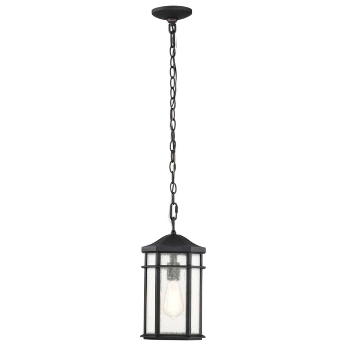Hanging Lantern Nuvo 60-5759 Raiden Collection Outdoor 14.5 inch Hanging Light - Matte Black Finish with Clear Seedy Glass Nuvo
