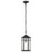 Hanging Lantern Nuvo 60-5759 Raiden Collection Outdoor 14.5 inch Hanging Light - Matte Black Finish with Clear Seedy Glass Nuvo