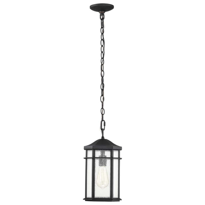 Hanging Lantern Nuvo 60-5759 Raiden Collection Outdoor 14.5 inch Hanging Light - Matte Black Finish with Clear Seedy Glass Nuvo