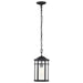 Hanging Lantern Nuvo 60-5759 Raiden Collection Outdoor 14.5 inch Hanging Light - Matte Black Finish with Clear Seedy Glass Nuvo