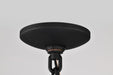 Hanging Lantern Nuvo 60-5759 Raiden Collection Outdoor 14.5 inch Hanging Light - Matte Black Finish with Clear Seedy Glass Nuvo