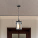 Hanging Lantern Nuvo 60-5759 Raiden Collection Outdoor 14.5 inch Hanging Light - Matte Black Finish with Clear Seedy Glass Nuvo