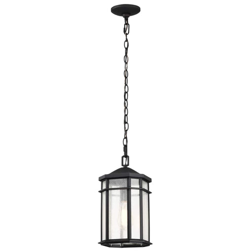 Hanging Lantern Nuvo 60-5759 Raiden Collection Outdoor 14.5 inch Hanging Light - Matte Black Finish with Clear Seedy Glass Nuvo