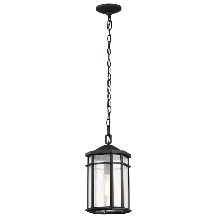 Hanging Lantern Nuvo 60-5759 Raiden Collection Outdoor 14.5 inch Hanging Light - Matte Black Finish with Clear Seedy Glass Nuvo