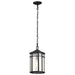Hanging Lantern Nuvo 60-5759 Raiden Collection Outdoor 14.5 inch Hanging Light - Matte Black Finish with Clear Seedy Glass Nuvo