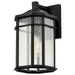 Wall Lantern Nuvo 60-5760 Raiden Collection Outdoor 14 inch Wall Light - Matte Black Finish with Clear Seedy Glass Nuvo