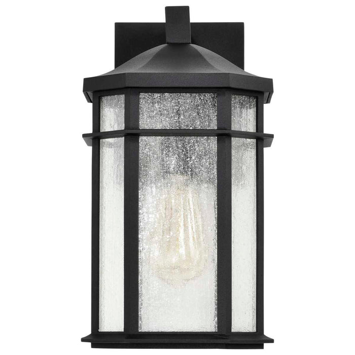 Wall Lantern Nuvo 60-5760 Raiden Collection Outdoor 14 inch Wall Light - Matte Black Finish with Clear Seedy Glass Nuvo
