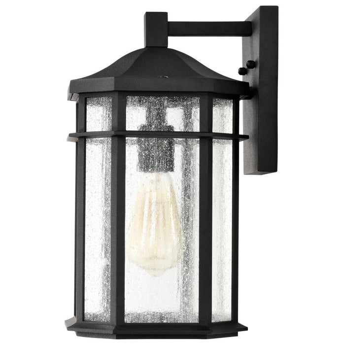 Wall Lantern Nuvo 60-5760 Raiden Collection Outdoor 14 inch Wall Light - Matte Black Finish with Clear Seedy Glass Nuvo