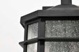 Wall Lantern Nuvo 60-5760 Raiden Collection Outdoor 14 inch Wall Light - Matte Black Finish with Clear Seedy Glass Nuvo