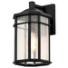 Wall Lantern Nuvo 60-5760 Raiden Collection Outdoor 14 inch Wall Light - Matte Black Finish with Clear Seedy Glass Nuvo