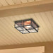 Flush Mount Nuvo 60-5834 Howell - 2 Light - Outdoor Flush Fixture with 60W Vintage Lamps Included - Bronze with Copper Accents Finish Nuvo